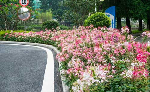 广州园林工程,绿化公司,园林公司,深圳绿化养护,花卉种植,景观设计与施工找丽芳园林